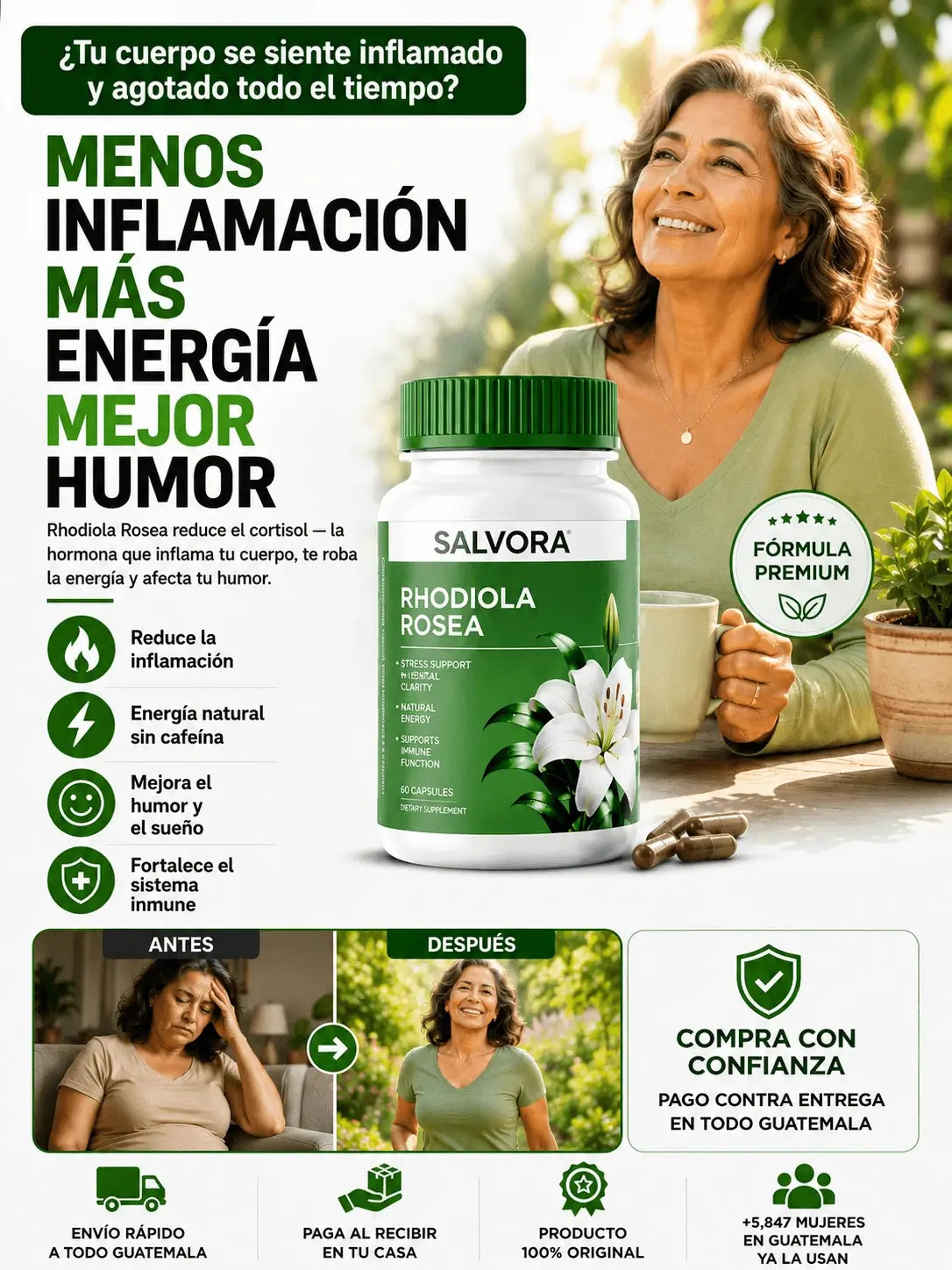 Rhodiola Rosea — Combate la inflamación, el cortisol elevado desde la primera semana