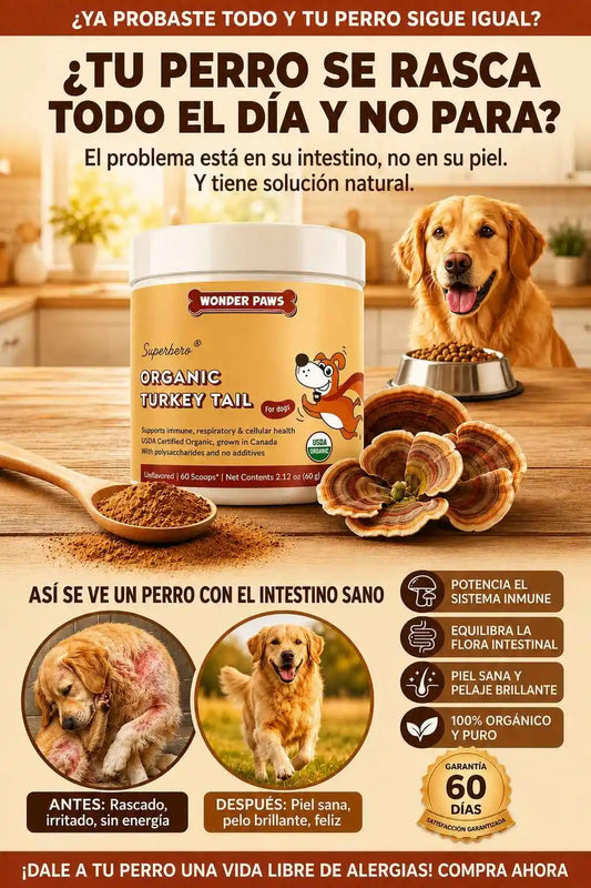 Wonder Paws Turkey Tail | Suplemento Natural para Perros